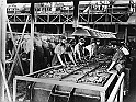 souvenirs en noir et blanc (361)